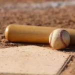 baseball bat box