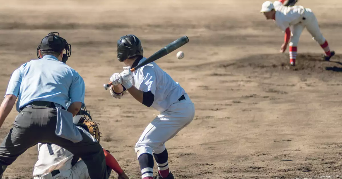 What is a Fungo Bat and Why Should You Use One